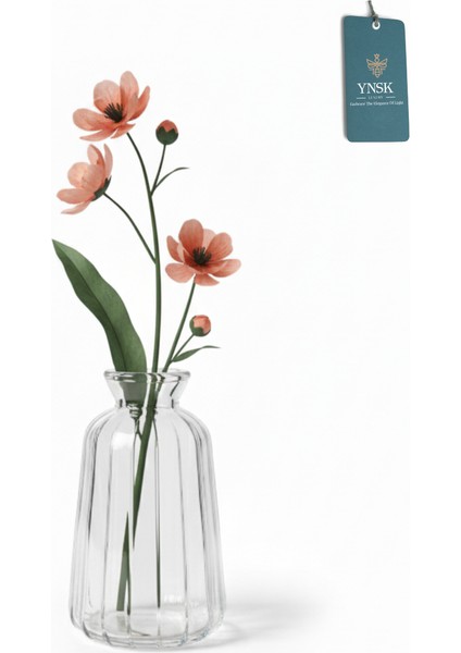 Minimalist Dekor Cam Vazo - Şeffaf - 6 x 11 x 3,5 cm fiyatları