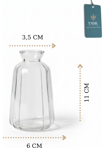 Minimalist Dekor Cam Vazo - Şeffaf - 6 x 11 x 3,5 cm fırsatları
