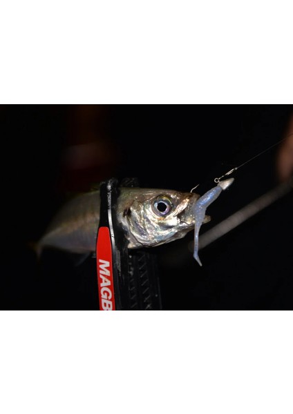 Chucky 1.8’’ 4.5cm 20 Uv Appicciato Kokulu Silikon Yem fiyatları