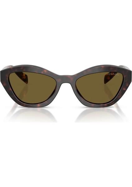 Güneş Gözlüğü Pr A02S 52 17N09Z fırsatları