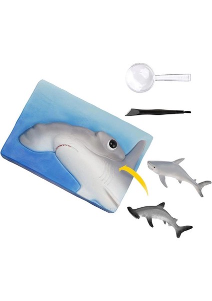 Bfs NAT07002 National Geographic Köpek Balığı Bulma Kiti - Trhamshdıg +6 Yaş fiyatları