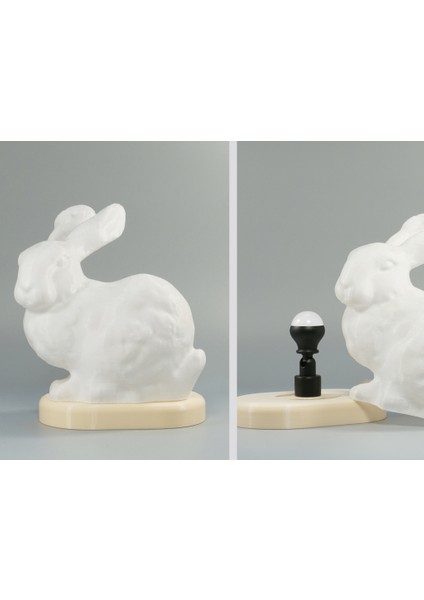 Stanford Tavşan Lambası