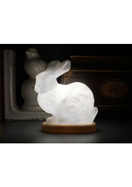 Stanford Tavşan Lambası fiyatları