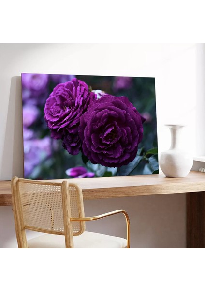 Mor Çiçek Kanvas Tablo