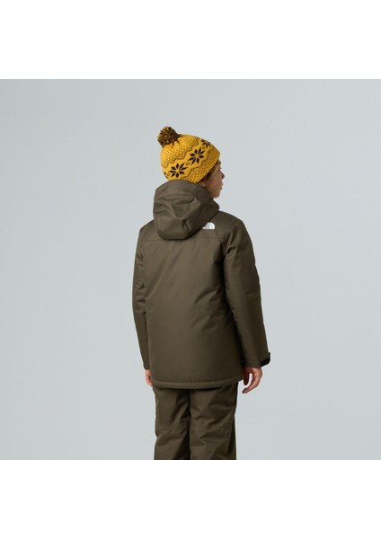 Teen Snowquest Jacket Genç Çocuk Montu NF0A8EJQ21L1 indirimleri