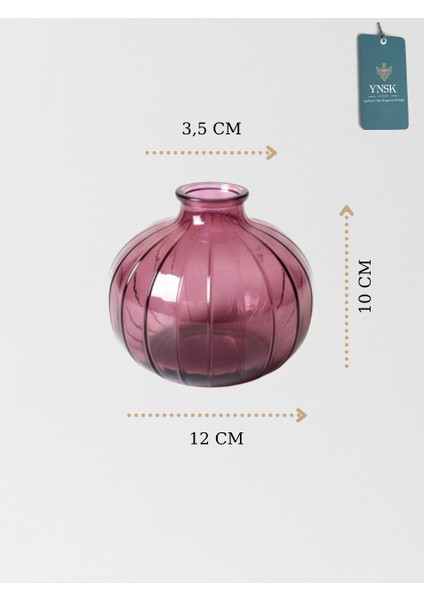 Minimalist Dekor Cam Vazo - 12 x 10 x 3,5 cm fırsatları