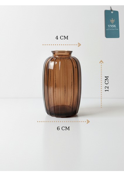Minimalist Dekor Cam Vazo - 6 x 12 x 4 cm fırsatları