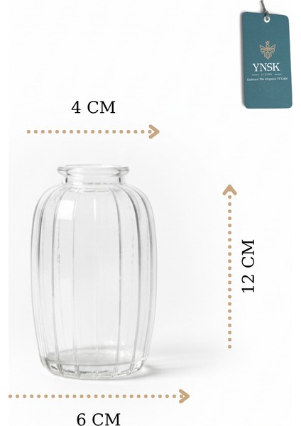 Minimalist Dekor Cam Vazo - 6 x 12 x 4 cm fırsatları