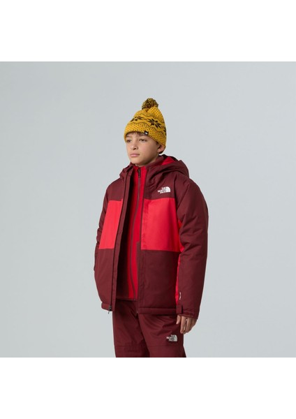 B Freedom Izolasyonlu Genç Çocuk Ceket NF0A88TZDI91 fiyatları
