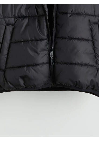 Lcw Kids Siyah Kapüşonlu Beşiktaş Baskılı Erkek Çocuk Şişme Mont fiyatları