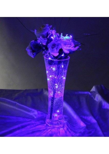 Ev Balkon ve Parti Için 10 Metre Pilli Mor Renk Peri LED Yılbaşı Süsü Işık indirimleri