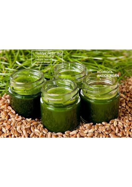 Buğday Çimi Suyu 5 Günlük Paket fiyatları