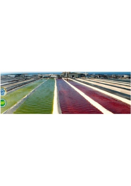 Hawaiian Sprulina Pacifica 100.GR modelleri