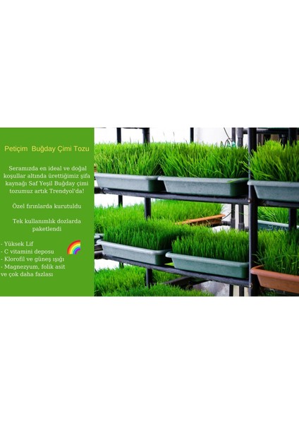 Buğday Çimi Suyu 5 Günlük Paket fırsatları