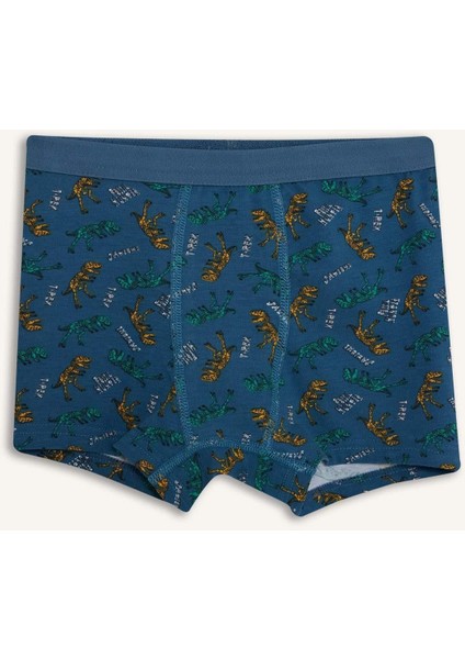 Erkek Çocuk Penye 3'lü Boxer G2282A825AU