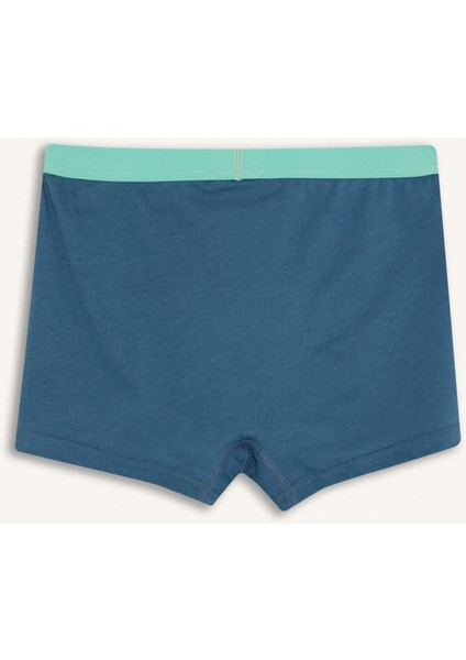 Erkek Çocuk Penye 3'lü Boxer G2282A825AU fiyatları