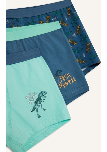 Erkek Çocuk Penye 3'lü Boxer G2282A825AU modelleri