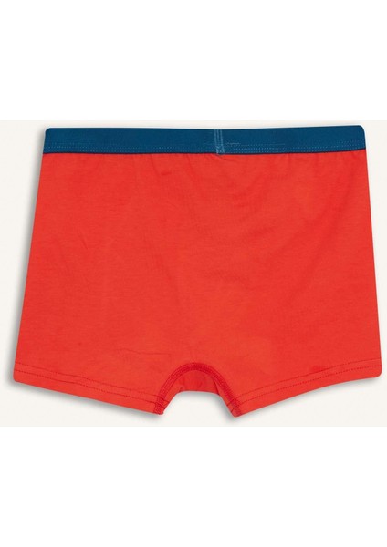 Erkek Çocuk Hot Wheels Penye 3'lü Boxer G2553A825AU fiyatları