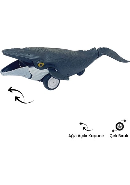 Sürtmeli Hayvanlar 2'li - Yunus Balığı ve Balina fiyatları