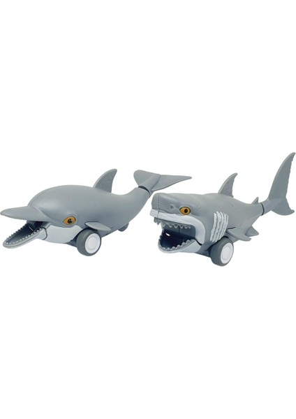 Sürtmeli Hayvanlar 2'li - Yunus ve Köpek Balığı