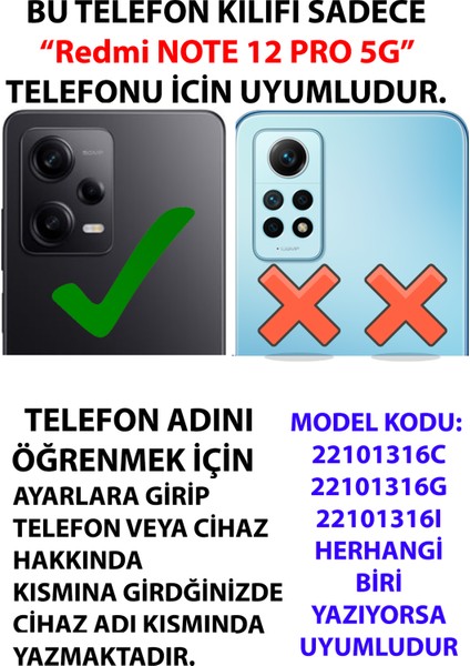 Redmi Note 12 Pro 5g Uyumlu Rad Suresi Cami ve Güller Baskılı Silikon Kılıf fiyatları