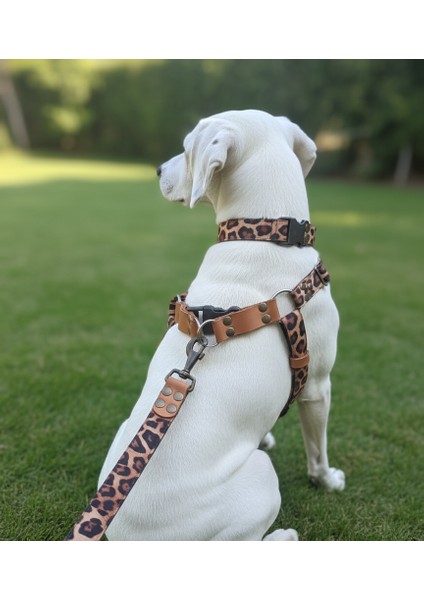 Köpek Göğüs Tasması, Boyun Tasması Ayarlanabilir ve Gezdirme Kayışı Set Takım Leopar Desen modelleri