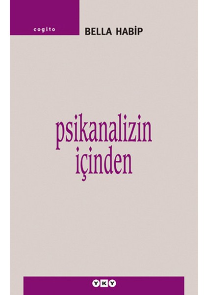 Psikanalizin Içinden