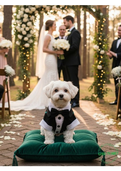 Siyah Papyonlu Smokin Damatlık Kedi ve Köpek Elbisesi Kıyafeti Takım Elbise modelleri