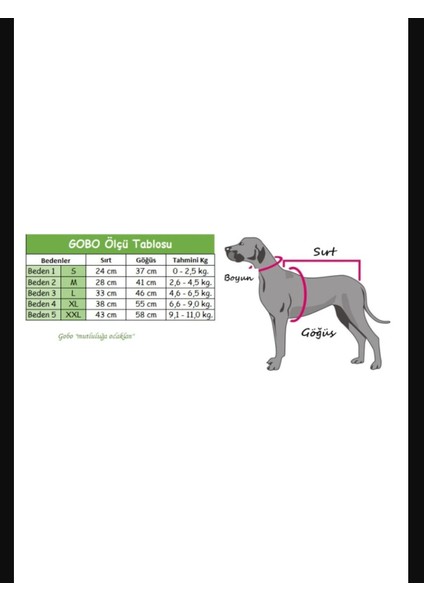 Siyah Papyonlu Smokin Damatlık Kedi ve Köpek Elbisesi Kıyafeti Takım Elbise
