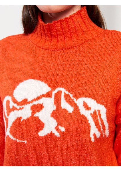 Yeni Sezon Yarım Balıkçı Yaka Desenli Uzun Kollu Kadın Triko Tunik fırsatları