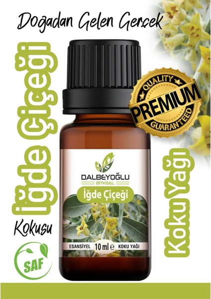 Iğde Çiçeği Esansiyel Koku Yağı 10 ml