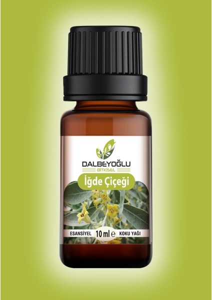 Iğde Çiçeği Esansiyel Koku Yağı 10 ml modelleri