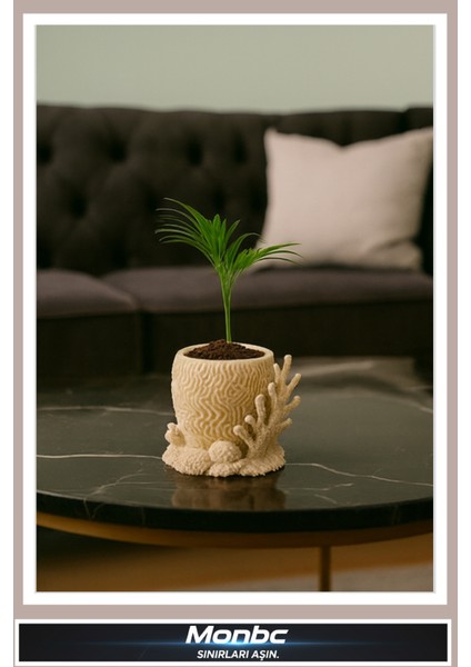 Coralia Mercan 3D Tasarım Dekoratif Biblo, Hediyelik ve Ev Ofis Için Şık Aksesuar fiyatları