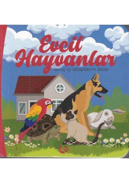 Evcil Hayvanlar - Avuç Içi Kitaplarım Dizisi