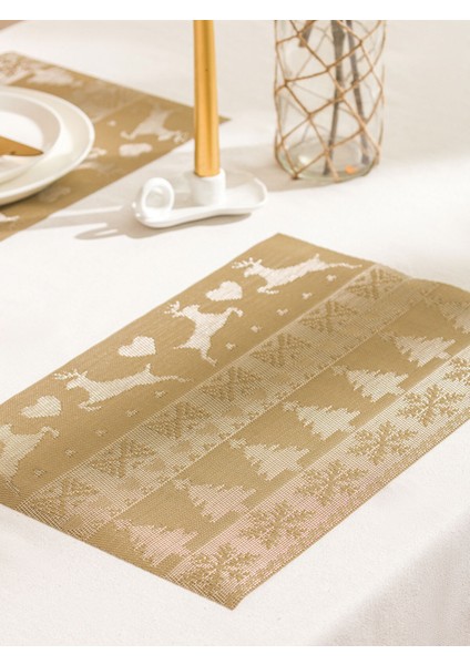 Yeni Sezon Amerikan Servis 2'li 30X45 cm fiyatları