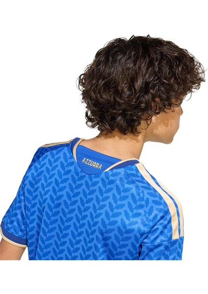 Çocuk Mavi Forma Fıgc H Jsy Y JY7585