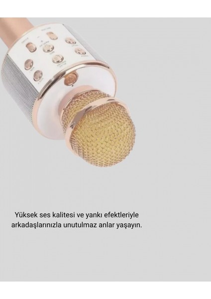 Karaoke Mikrofonu Bluetooth USB Aux Girişli Yankı Efektli fiyatları