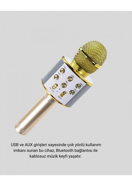 Karaoke Mikrofonu Bluetooth USB Aux Girişli Yankı Efektli modelleri