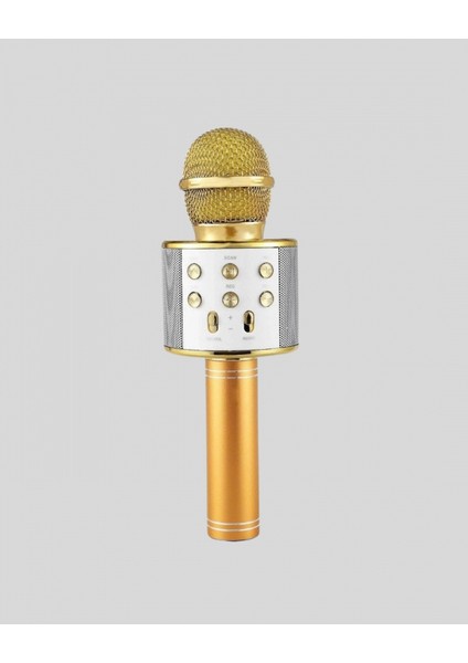 Karaoke Mikrofonu Bluetooth USB Aux Girişli Yankı Efektli indirimleri