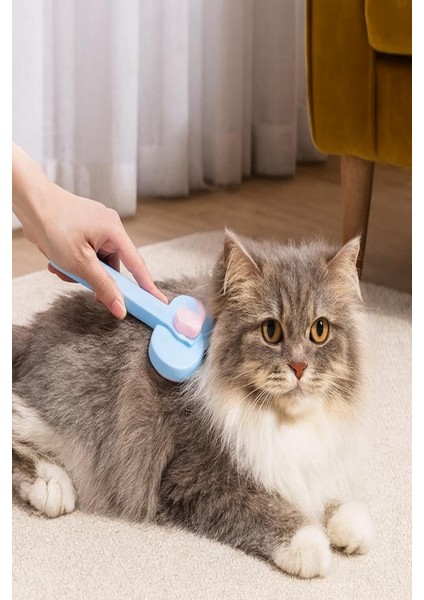 Pratik Tüy Temizleyici - Kedi Köpek Fırçası – Evcil Hayvan Tarağı modelleri