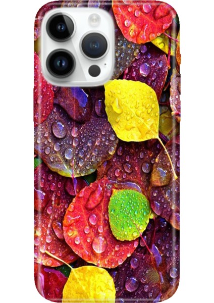 iPhone 16 Pro Max Kılıf Silikon Desenli Baskılı Cover Sonbahar