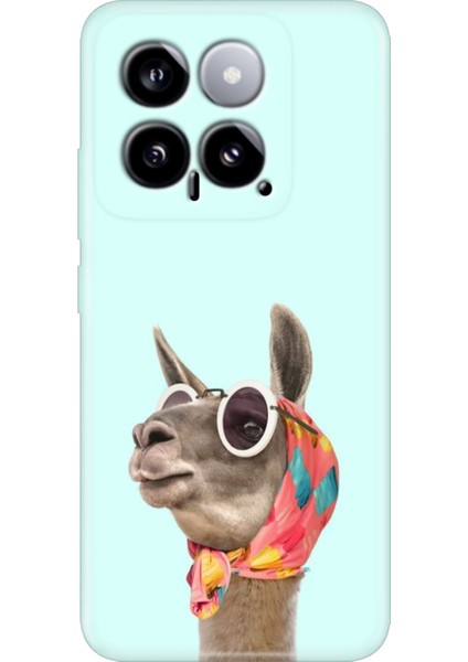 Xiaomi Mi 14 Kılıf Renkli Rubber Kapak Silikon Deve