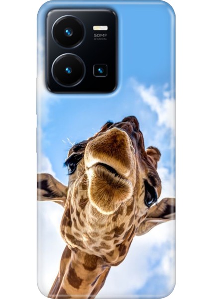 Vivo Y22S -Y35 Kılıf Desenli Kapak Renkli Tpu Uv Öpücük