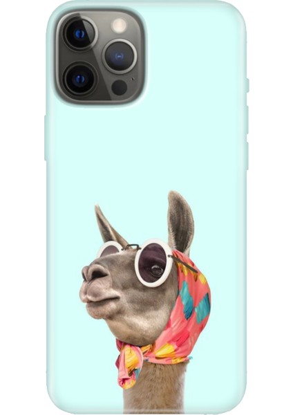 iPhone 12 Pro Max Kılıf Tasarım Baskılı Silikon Deve