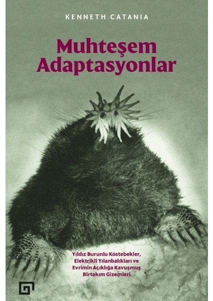 Muhteşem Adaptasyonlar