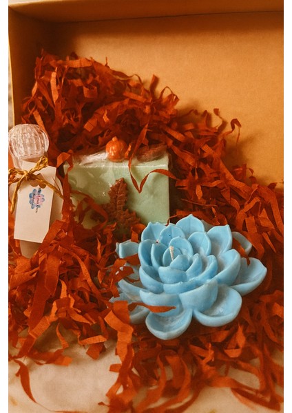 Öğretmenler Günü Hediye Paketi modelleri