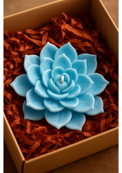 Öğretmenler Günü Hediye Paketi fırsatları