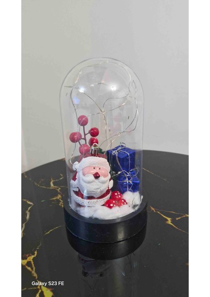 Ters Fanus Yılbaşı fiyatları