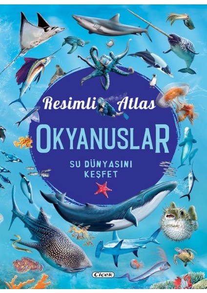 Resimli Atlas Okyanuslar