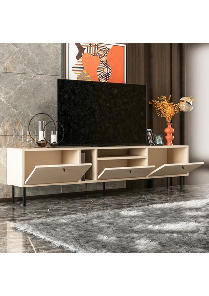 Biray Tv Sehpası fiyatları